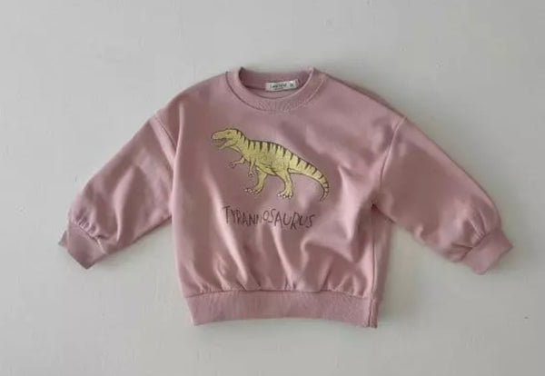 Dino sweatshirt